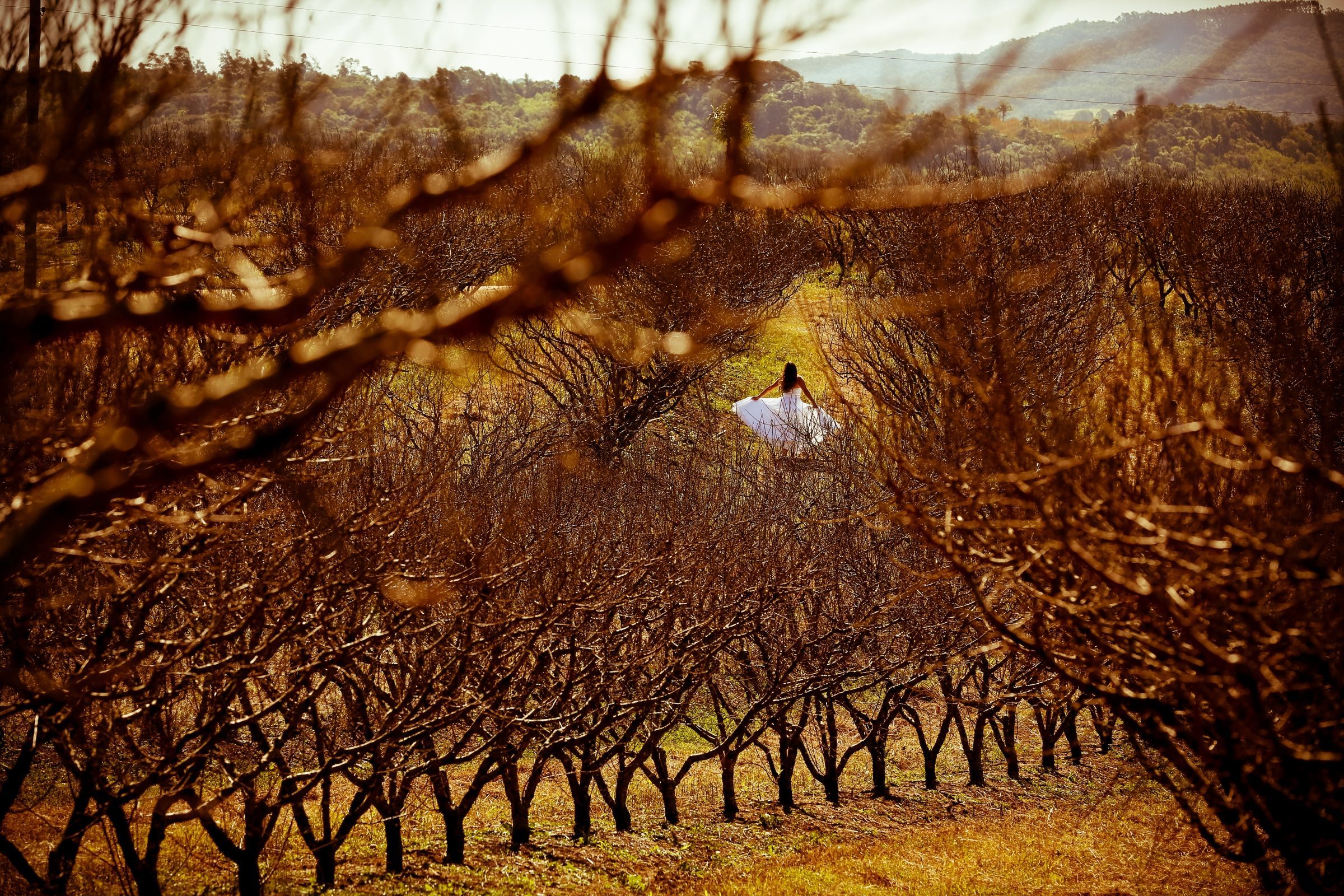 Foto de RITTA MARTINS 48