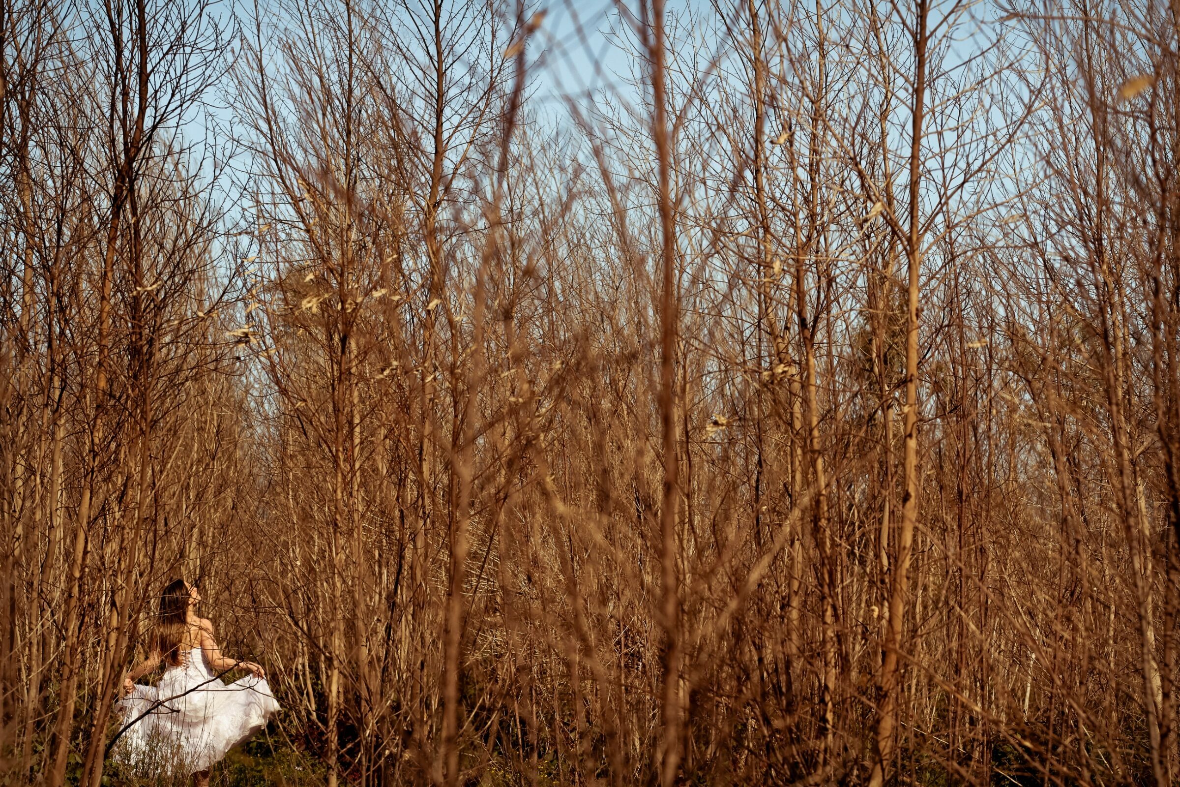 Foto de RITTA MARTINS 1